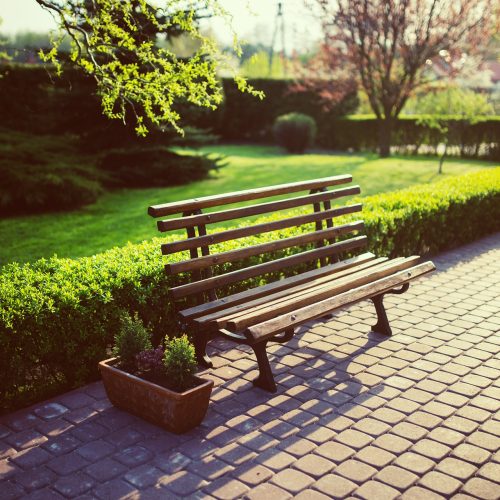 bench-791852_1920